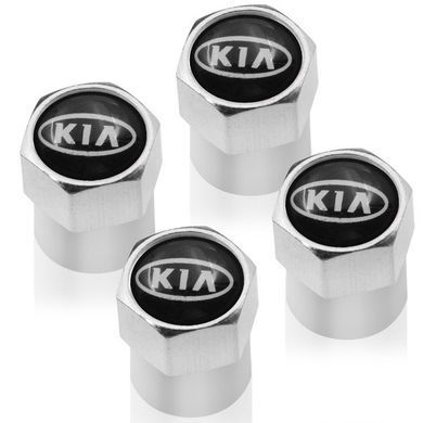 Купить Колпак вентиля колеса Kia Киа 4 шт Тюнинг Серые 89035 Защитные колпачки на ниппеля