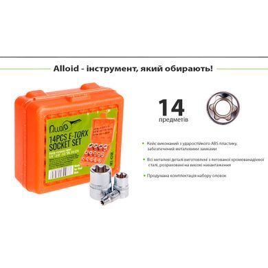 Купить Набор головок торкс Alloid 1/4" 3/8" 1/2" DR Е4-Е24 14 шт (НГЕ-424K) 86191 Наборы инструментов