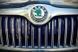 Купить Эмблема Skoda выгнутаяна скотче D88 мм (пр-во Польша) ПХ 172.53 88468 Эмблемы на иномарки - 2 фото из 3
