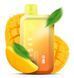 Купити ЕІf Ваг BC 10000 Затягувань Double Mango (Подвійне Манго) З Індикацією 65935 Одноразові системи