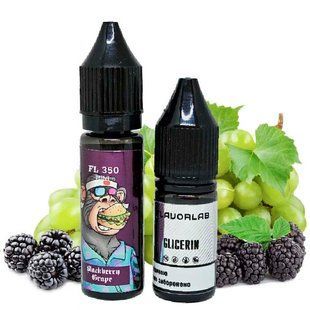 Купити Рідина Самозаміс Flavorlab FL350 Mini 15ml Blackberry Grape Ожина Виноград 79611 Рідини FL