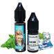 Купити Рідина Самозаміс Flavorlab FL350 Mini 15ml Mint gum М'ятна жуйка 79615 Рідини FL