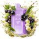 Купити ЕІf Ваг ВС 45000 25ml Blackcurrant grape Чорна смородина виноград 101188 Одноразові системи